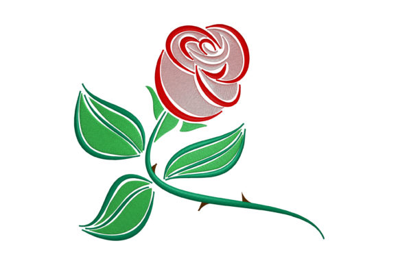 Beautiful Double Rose Review