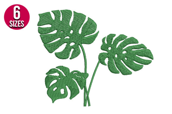 Monstera Plant: A Fresh, Modern Embroidery Design Worth Your Thread