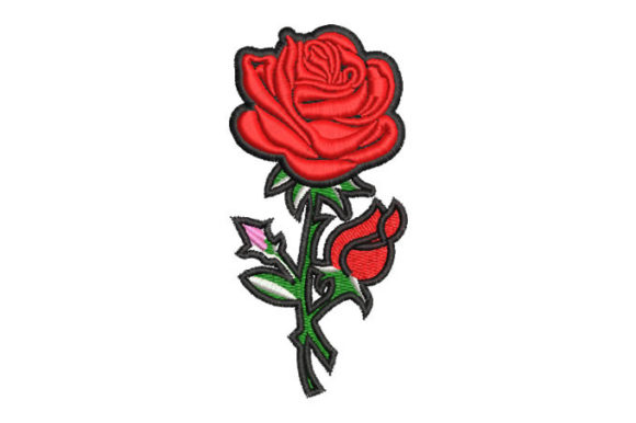 Roses with Black Border