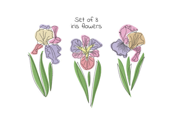 Set of Three Iris Flowers