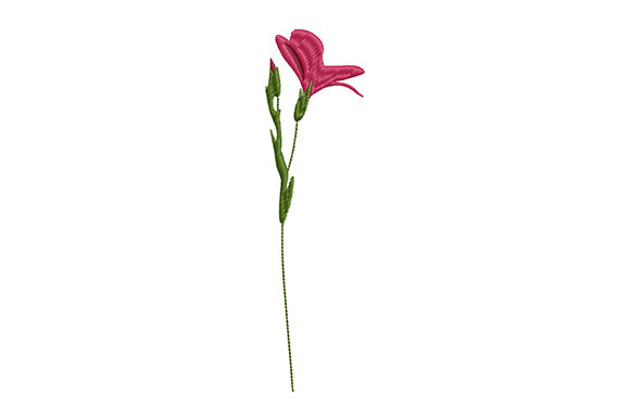 Wild Flower on a Thin Stem